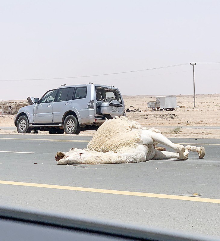 



حادثة شنيعة على الطريق نفسه.