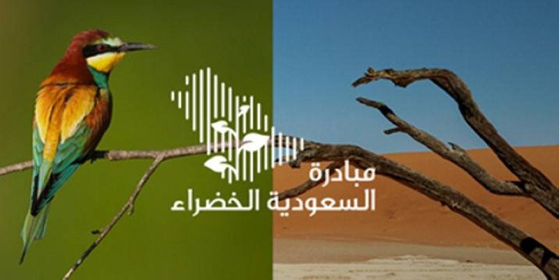 مبادرة السعودية الخضراء 2022