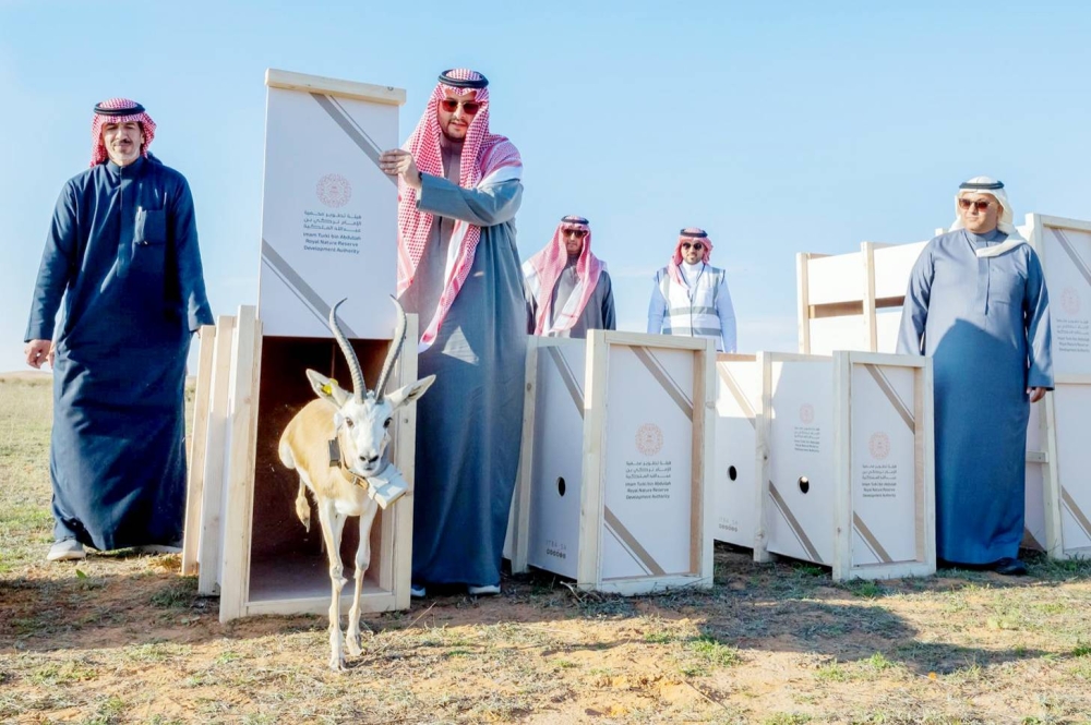 



الأمير تركي بن محمد لحظة إطلاق عدد من الكائنات الفطرية النادرة. (واس)