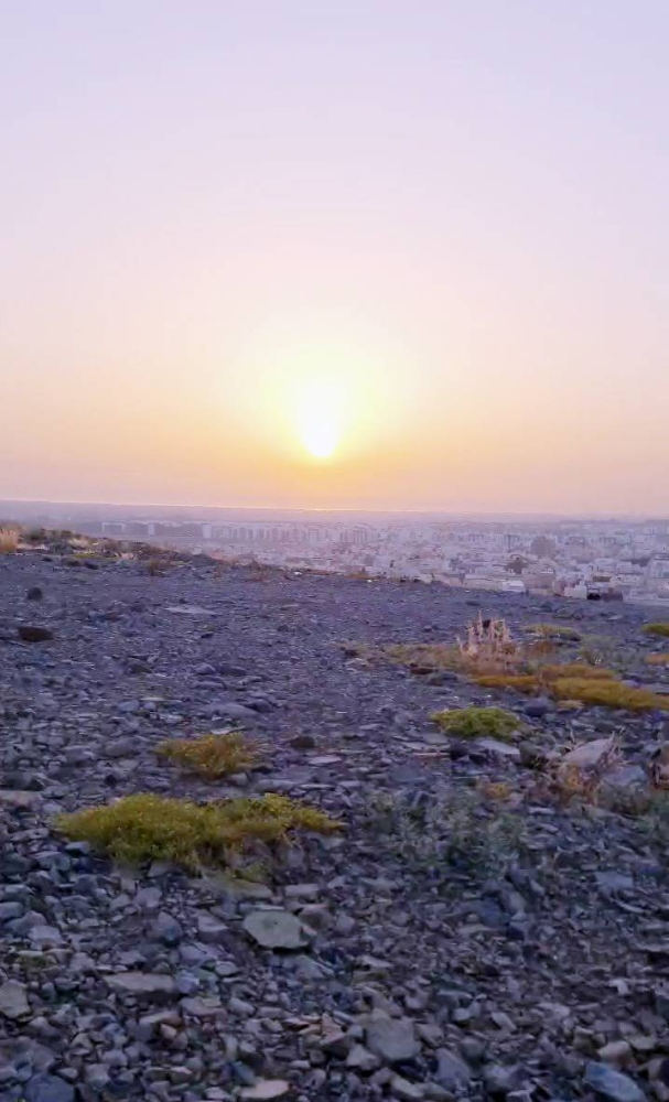 



مطل الأجاويد.