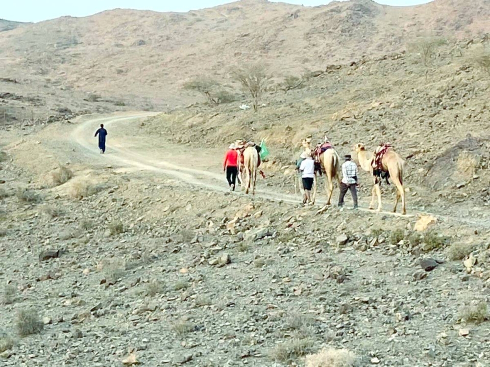 



عدد من الباحثين سار على ظهور الإبل من مكة إلى المدينة.