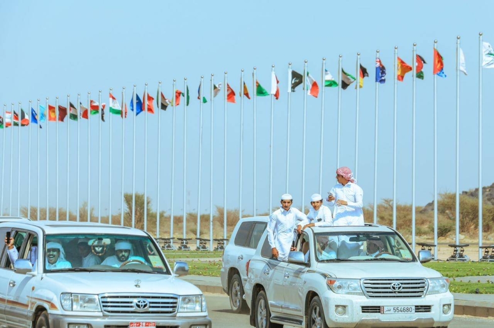 مطايا مشاركة بمهرجان الهجن الحالي.