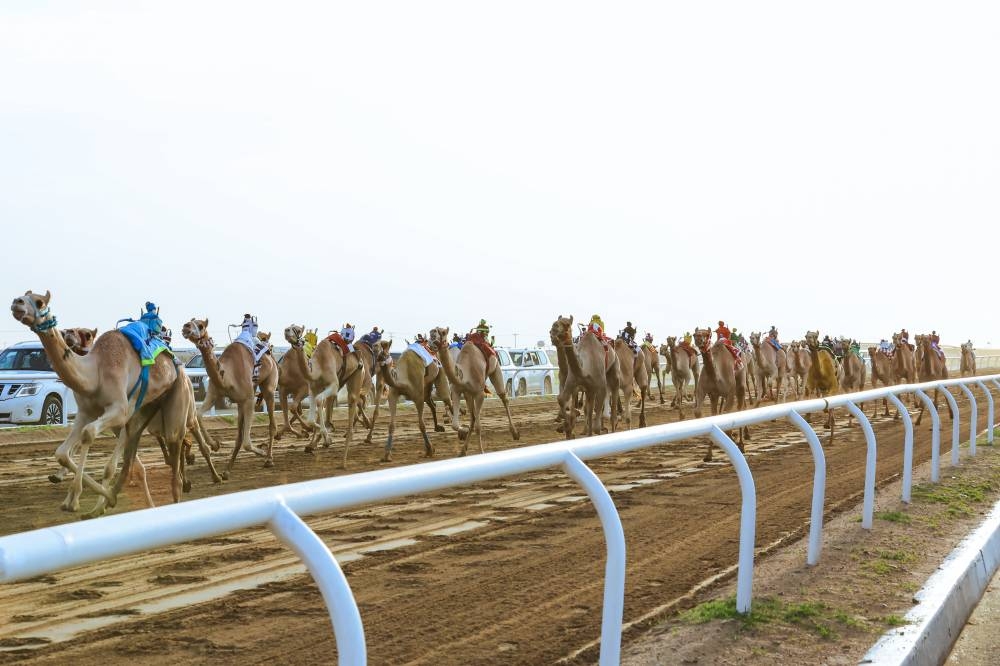 أمطار العرفاء تؤكد صلابة ميدان مهرجان ولي العهد للهجن